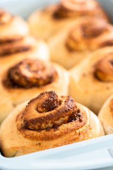 Freshly baked cinnamon rolls in a blue baking pan.