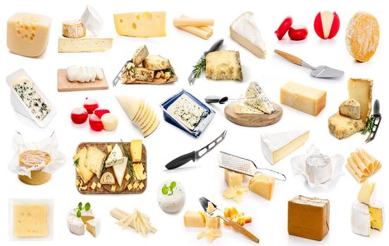 collage various types of cheeses on a white background