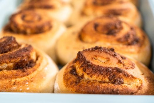 Freshly baked cinnamon rolls in a blue baking pan.