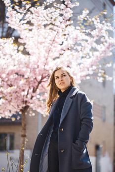 Sakura branches with flowers on a tree on the city streets. Happy woman girl in a gray palette walks along an alley with blooming sakura. Gorgeous fancy girl outdoors. Sakura tree blooming.