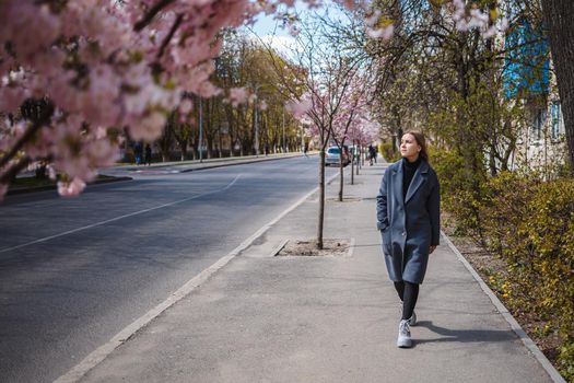 Sakura branches with flowers on a tree on the city streets. Happy woman girl in a gray palette walks along an alley with blooming sakura. Gorgeous fancy girl outdoors. Sakura tree blooming.