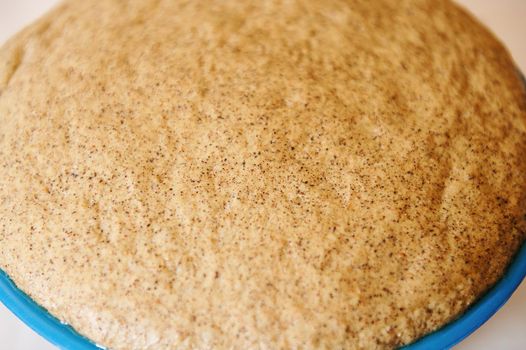 Cropped view of a rising yeast dough in blue bowl. Whole grain bread batter rising in bowl. Baking bread concept. Copy ad space