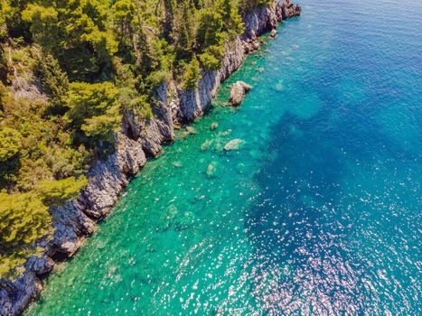 Picturesque sea Adriatic coast of Montenegro. Turquoise Mediteran sea and rocky shore with evergreen coniferous trees. Wonderful summer landscape. Drone.