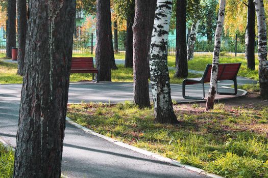 City park with paths and benches. Place for rest and walks. urban architecture