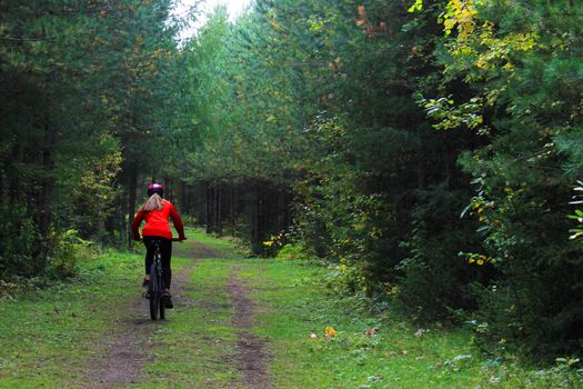 A girl in sportswear and a helmet rides a bicycle through the forest. Back view.