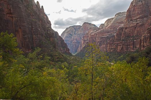 The Zion Canyon landscape seen from the Grotto Trail in Zion National Park. Utah