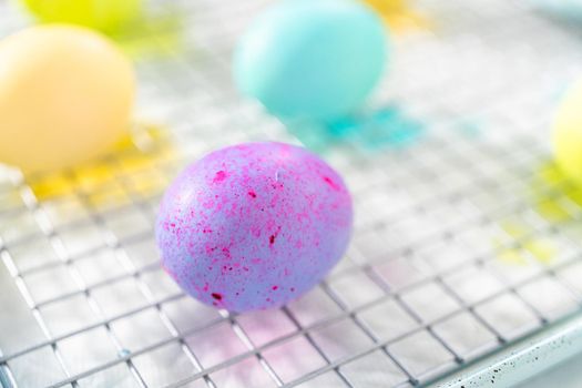 Easter egg coloring. Dye white organic eggs in different colors for Easter.