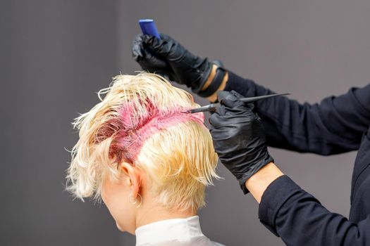 Hairdresser colors female blonde hair in pink color at a beauty salon