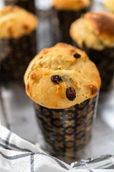 Cooling freshly baked mini Easter bread kulich on a kitchen counter.