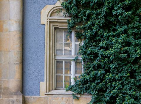 Romanesque, Gothic, Renaissance-Baroque window overgrown with amber. Vajda Hunyad Castle, Budapest, Hungary