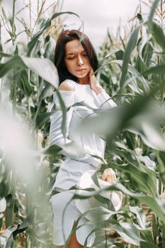 A brunette girl in a white dress in a cornfield. The concept of harvesting.