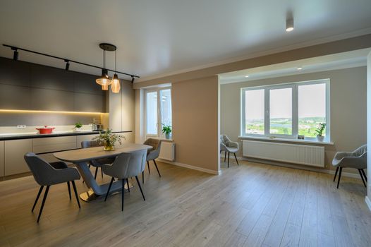 Large modern grey luxurious kitchen and dining room in studio apartment interior