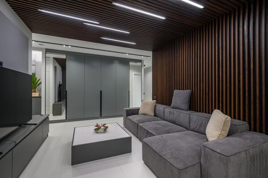 Luxury living room with sofa and tv set and hall in studio apartment interior