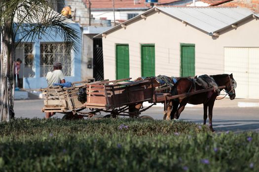 santana, bahia, brazil - september 13, 2022: animal-drawn cart for transporting goods in a public square in the city of Santana.