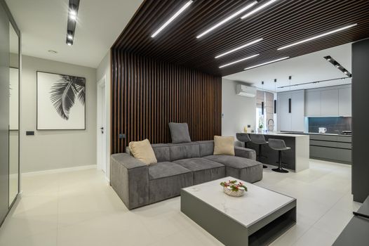 Luxury living room with sofa ant tv set and kitchen in studio apartment interior