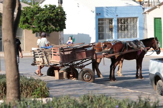 santana, bahia, brazil - september 13, 2022: animal-drawn cart for transporting goods in a public square in the city of Santana.