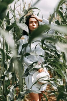 A brunette girl in a white dress in a cornfield. The concept of harvesting.