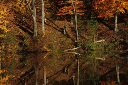 autumn forest of red yellow and green autumn colors are reflected in the lake surface. High quality photo