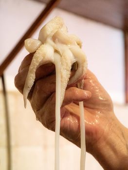 cleaning a raw adriatic cuttlefish at home in Numana, Marche, Italy