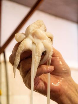 cleaning a raw adriatic cuttlefish at home in Numana, Marche, Italy