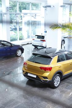 Vertical shot of new automobiles for sale at dealership salon
