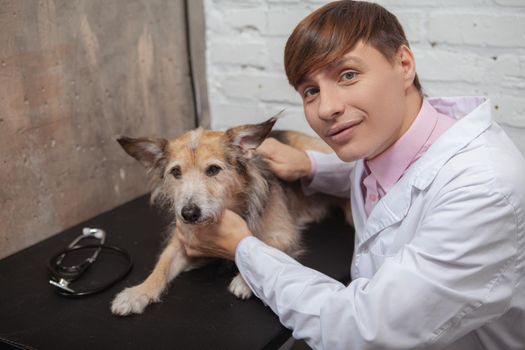 Cheerful male veterinarian smiling to the camera, petting cute mixed breed shelter dog at his medical office
