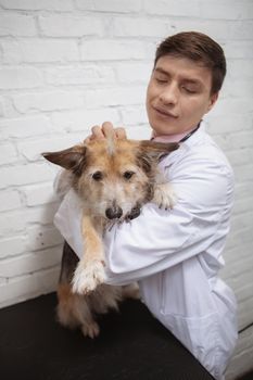 Vertical shot of a male vet petting lovely shelter dog