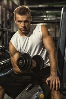 Intense training. Vertical shot of a serious young handsome man looking to the camera fiercely lifting weights at the gym dumbbells iron pump muscular body biceps sports motivation lifestyle concept