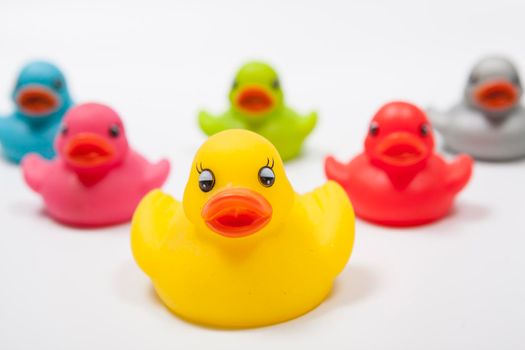 Yellow rubber duck in front of the team of colorful rubber ducks isolated, leadership, teamwork concept