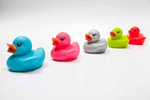 Colorful rubber ducks in a row on white background