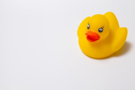 Cute yellow rubber duck isolated on white