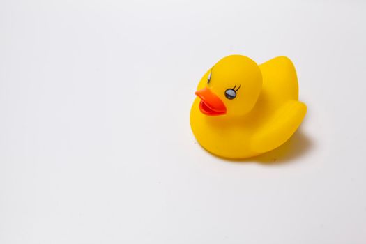 Adorable rubber duck toy on white background, copy space