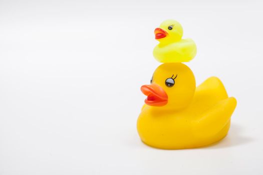 Cute small yellow rubber duckling on the top of the head of mama rubber duck