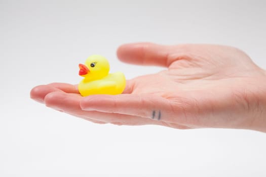 Human hand holding cute little rubber duck