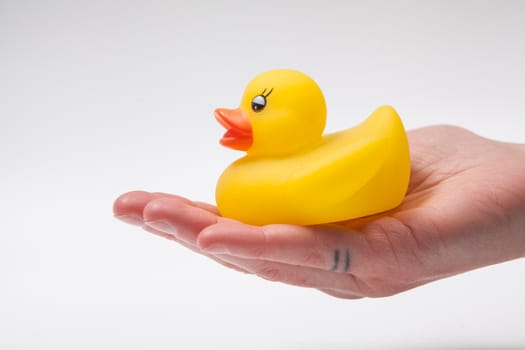 Yellow rubber duck in the palm of hand