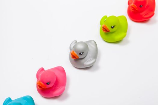 Colorful rubber ducks in a row isolated