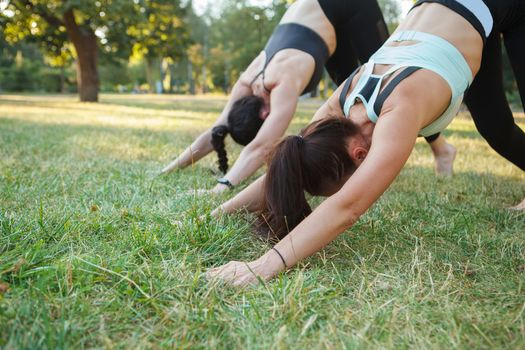 Cropped shot of two fit women practicing yoga on the grass, standing in downward-facing dog asana