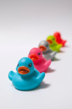 Colorful rubber ducks in a row on white background