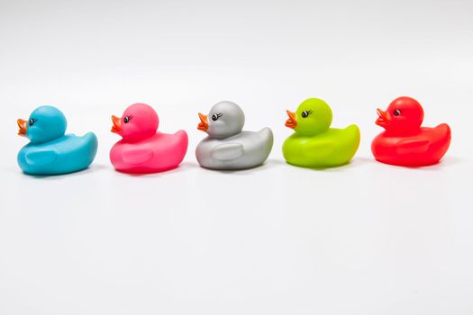 Profile shot of row of multicolored rubber ducks