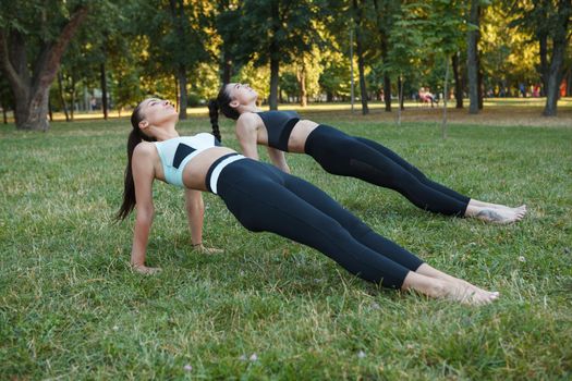 Full length shot of two women doing reverse plank on the grass during outdoor workout