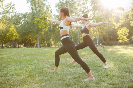 Full length rearview shot of two athletic women doing yoga on the grass at the park