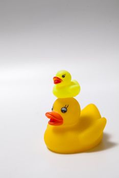 Mama rubber duck and her duckling on her head isolated