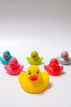 Vertical shot of a yellow rubber duck leading colorful pack of diverse ducklings