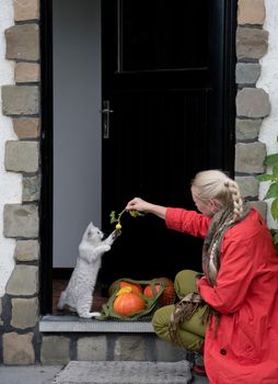 A middle-aged woman in a red cloak with a net of orange pumpkins opens the door to the house, and a kitten meets her on the threshold. High quality photo