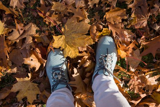feet in Blue sneakers in a pile of autumn fallen yellow maple leaves, change of season,High quality photo