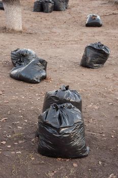 Black trash plastic bags full of autumn leaves. Seasonal cleaning of city streets from fallen leaves. Clearing the earth of rotten leaves. Spring season, foliage. Cleaning service