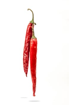 Falling red chili or chilli pepper on white background