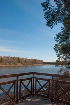 Blue water in a forest lake with pine trees