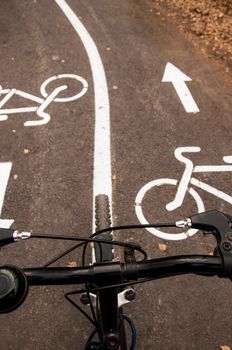 Bike road in the park. Healthy lifestyle. Bicycle track.