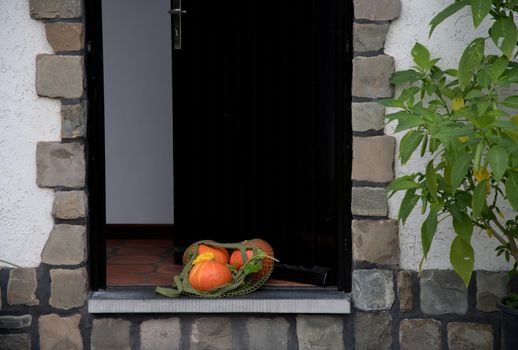 a net with ripe orange pumpkins lies on the threshold at the open door. High quality photo